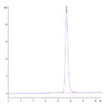 Rhesus macaque EGFR Protein (EGF-CM101)