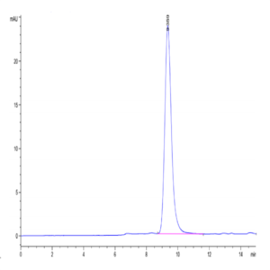 Rhesus macaque EGFR Protein (EGF-CM101)