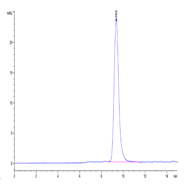 Rhesus macaque EGFR Protein (EGF-CM101) Rhesus macaque EGFR Protein (EGF-CM101)