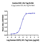 Canine EGF Protein (EGF-DE101)