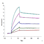 Human EGF Protein (EGF-HE001)