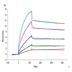 Human EGF Protein (EGF-HE001)