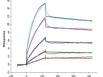 Human EGF Protein (EGF-HE001)