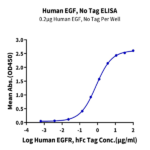 Human EGF Protein (EGF-HE001)