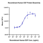 Human EGF Protein (EGF-HE001)