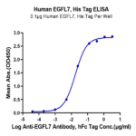 Human EGFL7 Protein (EGF-HE1L7)