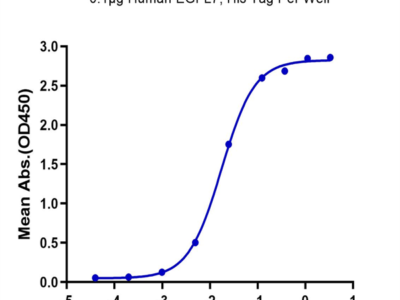 Human EGFL7 Protein (EGF-HE1L7)