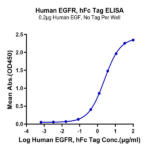 Human EGFR/HER1 Protein (EGF-HM201)