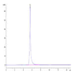 Human EGFR/HER1 Protein (EGF-HM201)