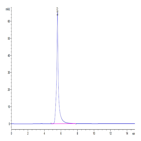 Human EGFR/HER1 Protein (EGF-HM201)