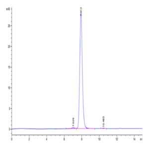 Mouse EGFR/HER1 Protein (EGF-MM101)