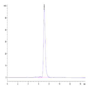 Human Ephrin-B2/EFNB2 Protein (ENB-HM201)