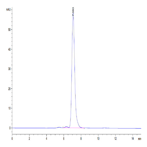 Human Ephrin-B2/EFNB2 Protein (ENB-HM201) Human Ephrin-B2/EFNB2 Protein (ENB-HM201)