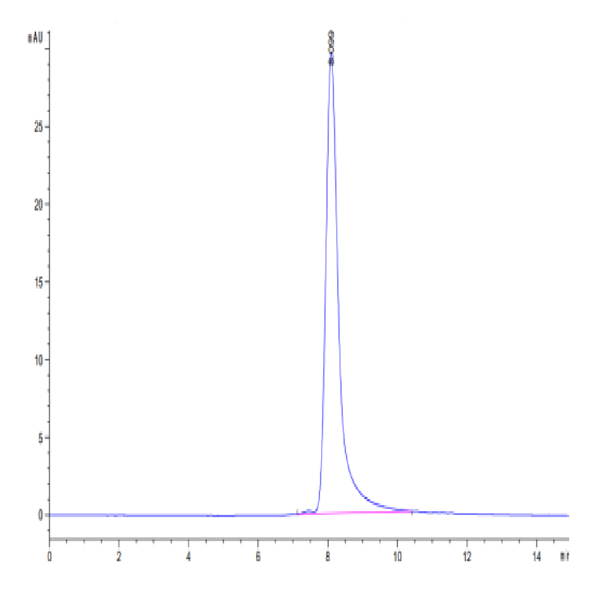 Canine ENPP-3 Protein (ENP-DM103) Canine ENPP-3 Protein (ENP-DM103)