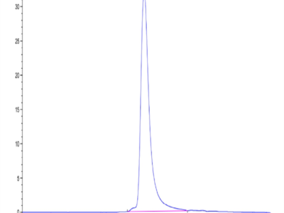 Human ENPP-2/Autotaxin Protein (ENP-HM101)