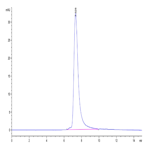 Human ENPP-2/Autotaxin Protein (ENP-HM101) Human ENPP-2/Autotaxin Protein (ENP-HM101)