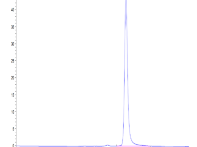 Human ENPP-3 (48-157) Protein (ENP-HM404)