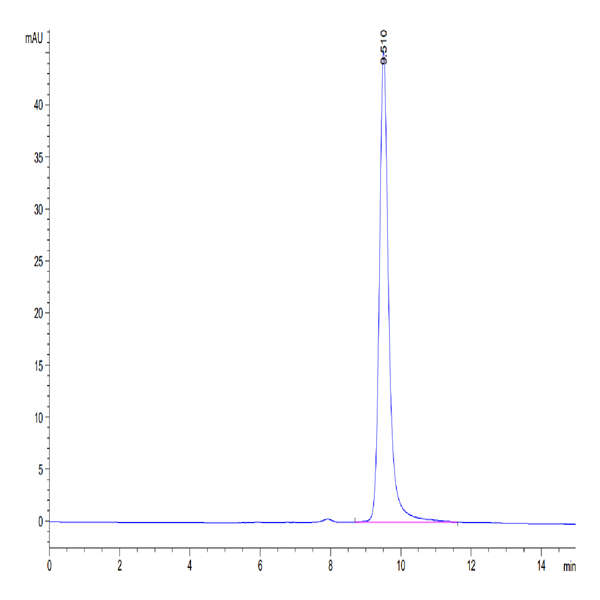 Human ENPP-3 (48-157) Protein (ENP-HM404)