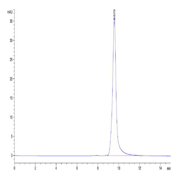 Biotinylated Human ENPP-3 (48-157) Protein (ENP-HM404B) Biotinylated Human ENPP-3 (48-157) Protein (ENP-HM404B)