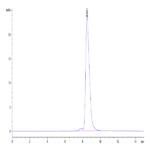 Human ENPP-3 (558-875) Protein (ENP-HM406)