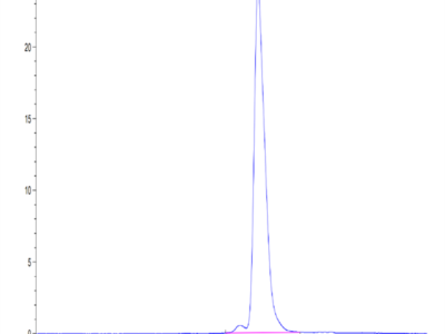 Human ENPP-3 (558-875) Protein (ENP-HM406)