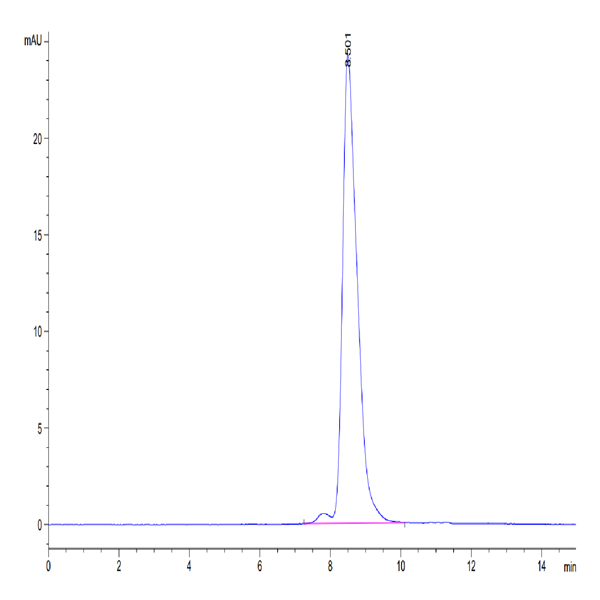 Human ENPP-3 (558-875) Protein (ENP-HM406) Human ENPP-3 (558-875) Protein (ENP-HM406)