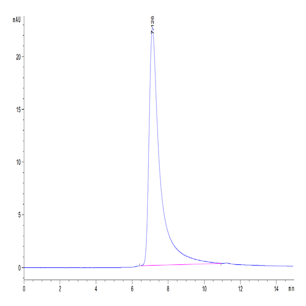 Mouse ENPP-2/Autotaxin Protein (ENP-MM101) Mouse ENPP-2/Autotaxin Protein (ENP-MM101)