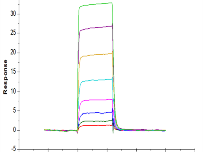 Human Ephrin-A4/EFNA4 Protein (EPA-HM104)