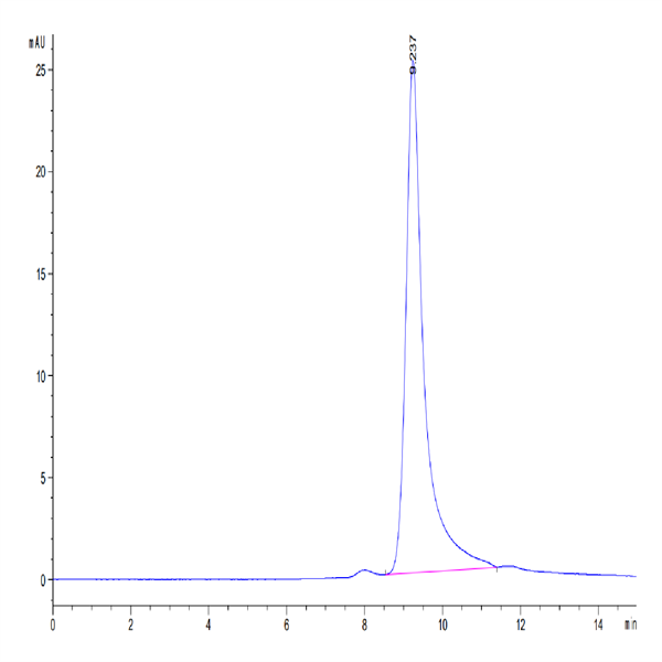 Human Ephrin-A4/EFNA4 Protein (EPA-HM104)