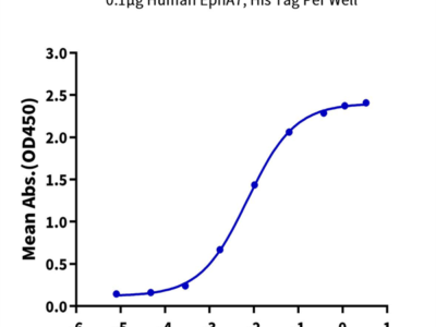 Human Ephrin-A4/EFNA4 Protein (EPA-HM204)