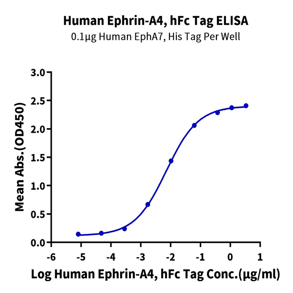 Human Ephrin-A4/EFNA4 Protein (EPA-HM204) Human Ephrin-A4/EFNA4 Protein (EPA-HM204)