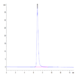 Human EphB4 Protein (EPB-HM104)