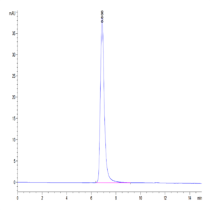 Human EphB4 Protein (EPB-HM104)