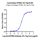 Cynomolgus EPHB2 Protein (EPH-CM102)