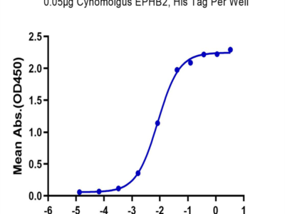 Cynomolgus EPHB2 Protein (EPH-CM102)
