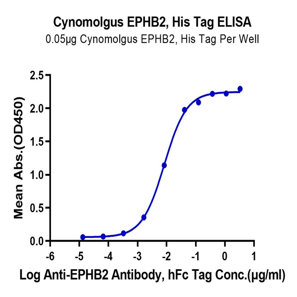 Cynomolgus EPHB2 Protein (EPH-CM102) Cynomolgus EPHB2 Protein (EPH-CM102)