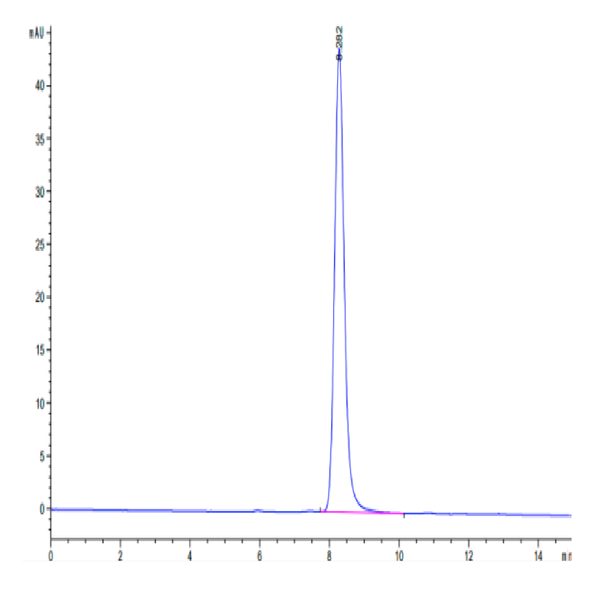 Cynomolgus EPHB2 Protein (EPH-CM102)