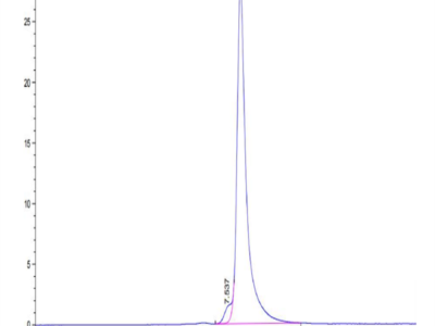 Cynomolgus EPHA10 Protein (EPH-CM110)