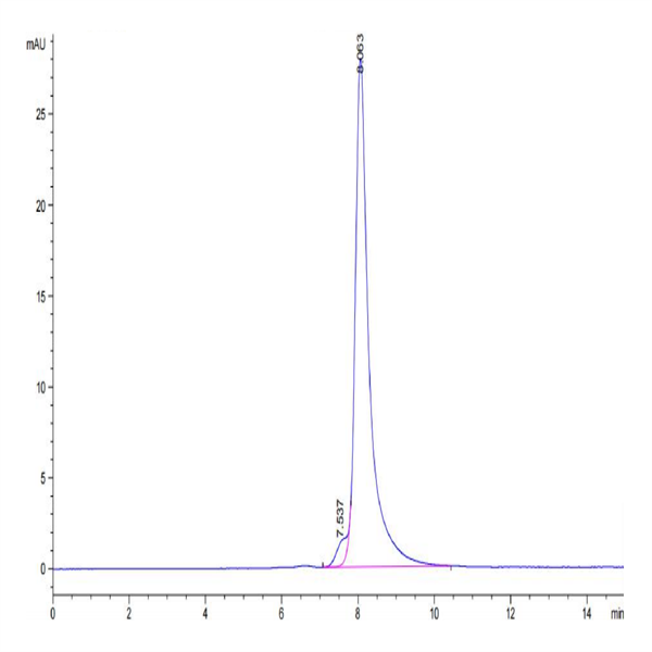 Cynomolgus EPHA10 Protein (EPH-CM110) Cynomolgus EPHA10 Protein (EPH-CM110)