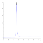 Cynomolgus EPHA2 Protein (EPH-CM2A2)