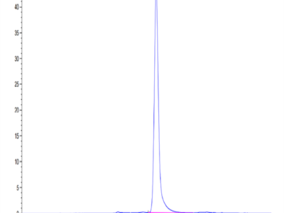 Canine EPHA3 Protein (EPH-DM101)