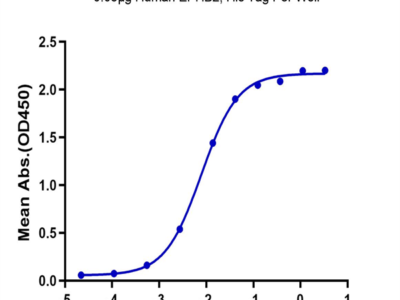 Human EPHB2 Protein (EPH-HM101)