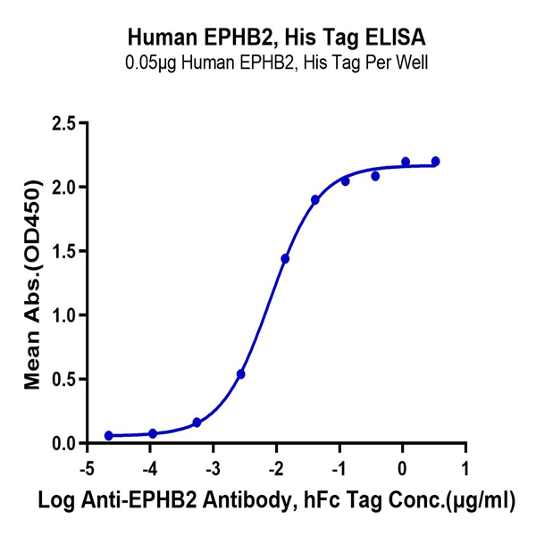 Human EPHB2 Protein (EPH-HM101) Human EPHB2 Protein (EPH-HM101)
