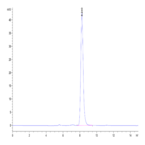 Human EPHB2 Protein (EPH-HM101)