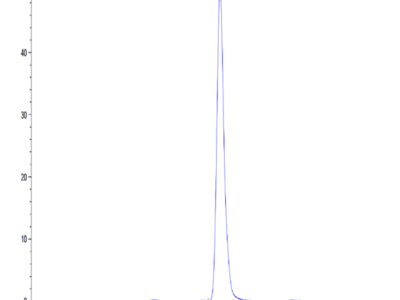 Human EPHA4 Protein (EPH-HM104)