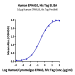 Human EPHA10 Protein (EPH-HM110)