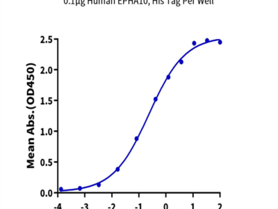 Human EPHA10 Protein (EPH-HM110)