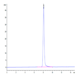 Human EPHA2 Protein (EPH-HM1A2)