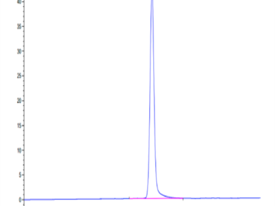 Human EPHA2 Protein (EPH-HM1A2)