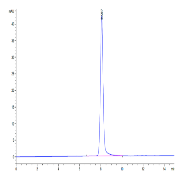 Human EPHA2 Protein (EPH-HM1A2)